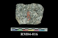 藏品(花崗片麻岩)的圖片